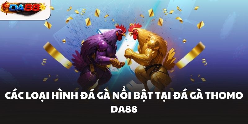 Đá Gà Thomo DA88 Giải Trí Hấp Dẫn Cho Ai Đam Mê Chọi Gà
