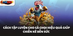 Đá Gà DA88 – Sảnh Chơi Đá Gà Hôm Nay Kịch Tính Nhất