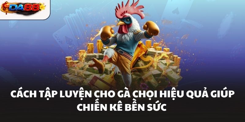 Cách Tập Luyện Cho Gà Chọi Hiệu Quả Giúp Chiến Kê Bền Sức #1