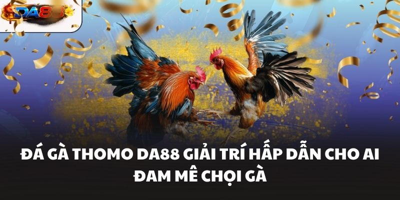 Đá Gà Thomo DA88 Giải Trí Hấp Dẫn Cho Ai Đam Mê Chọi Gà