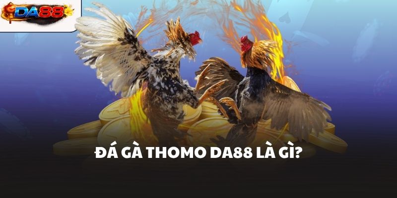 Đá Gà Thomo DA88 Giải Trí Hấp Dẫn Cho Ai Đam Mê Chọi Gà
