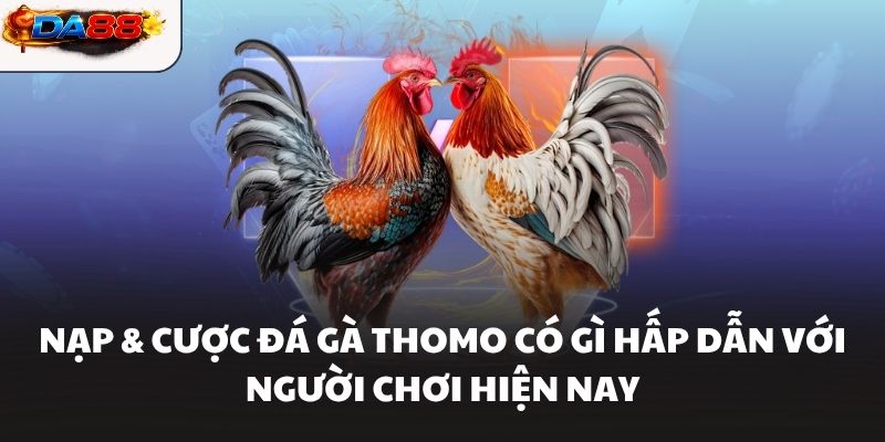 Nạp Và Cược Đá Gà Thomo DA88 Trải Nghiệm Giải Trí Đỉnh Cao