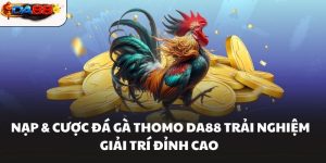 Đá Gà DA88 – Sảnh Chơi Đá Gà Hôm Nay Kịch Tính Nhất