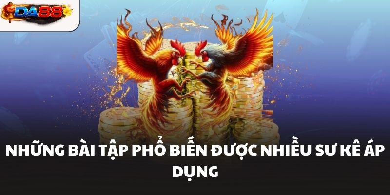 Cách Tập Luyện Cho Gà Chọi Hiệu Quả Giúp Chiến Kê Bền Sức #1