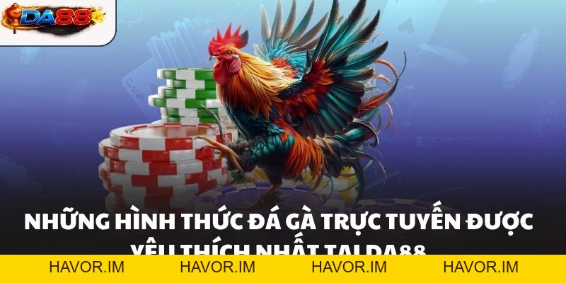Đá Gà DA88 – Sảnh Chơi Đá Gà Hôm Nay Kịch Tính Nhất