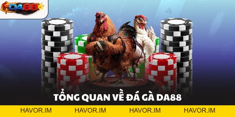 Đá Gà DA88 – Sảnh Chơi Đá Gà Hôm Nay Kịch Tính Nhất